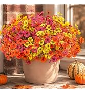 Artificial Faux Mums Flowers Plants for Outdoors Autumn Decoration,12 Bundles Fake Mums Plastic S...