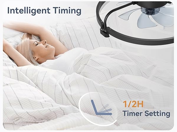 led ceiling fan