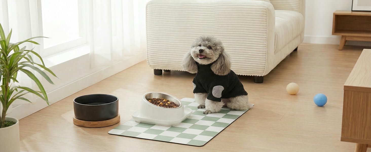 Dog sitting on the dog feeding mat