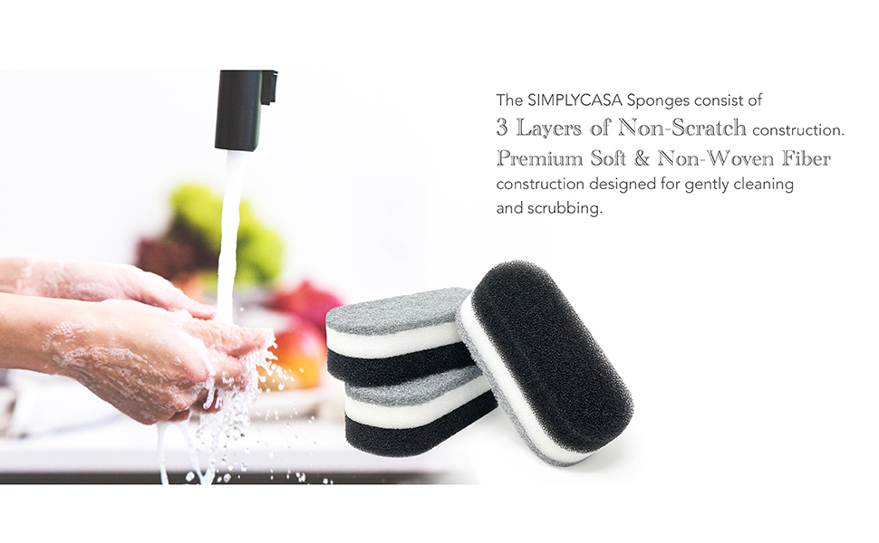 black dish sponge