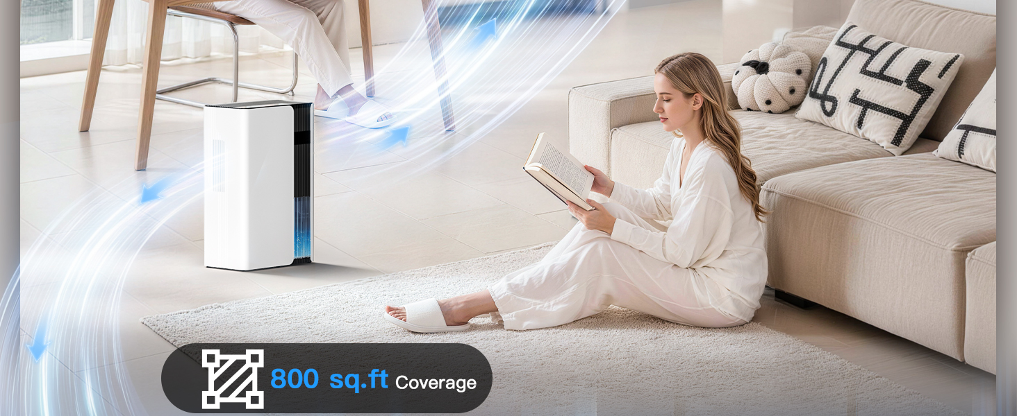dehumidifiers for home
