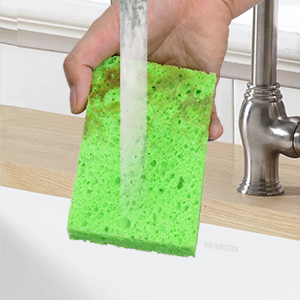 Compressed Sponges