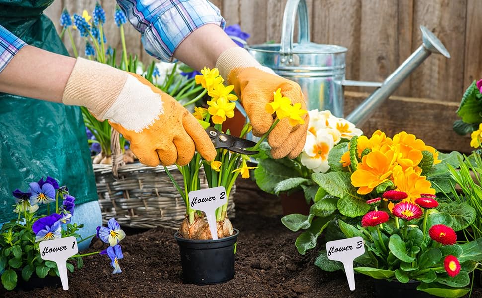 plant tags