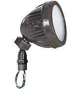 BELL Hubbell LL1200Z Security & Flood Light, Bronze
