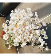 Jtoder Dried Daisy Flowers Bouquet, 200+ Real Dry White Flowers with Stems, 17'' Gerber Daisies A...
