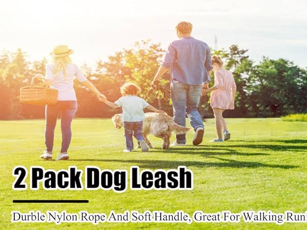 Dog Leash with Comfortable Padded Handle, Highly Reflective Threads Dog Leash for Medium Large Dogs