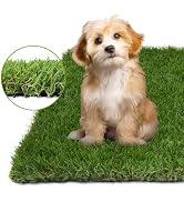 COOLCHOICE Artificial Grass Turf with Drainage Holes for Dog Potty Training 3 ft x 5 ft, 3 cm Fak...
