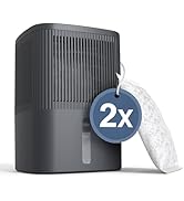 TABYIK Moisture Absorber 1000ml (34OZ) x 2 Pack, Disposable Dehumidifier with Refiil Bags, Portab...