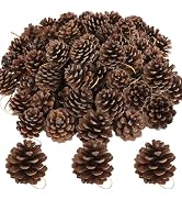 50 PCS Pine Cones, 1.96 Inches Pinecone Ornaments, Natural Pine Cones for Crafts, Fragrance Pinec...