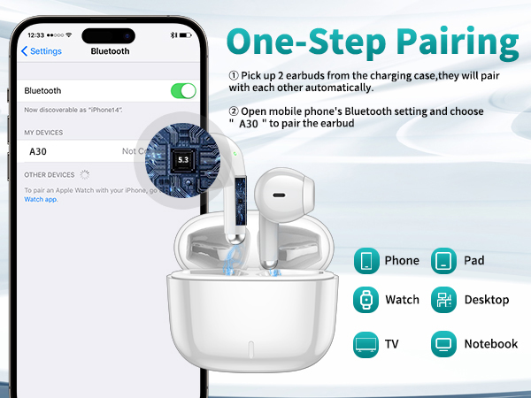 Wireless earbuds