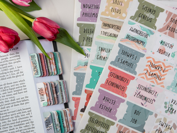 DiverseBee Laminated Bible Tabs for Study Bible