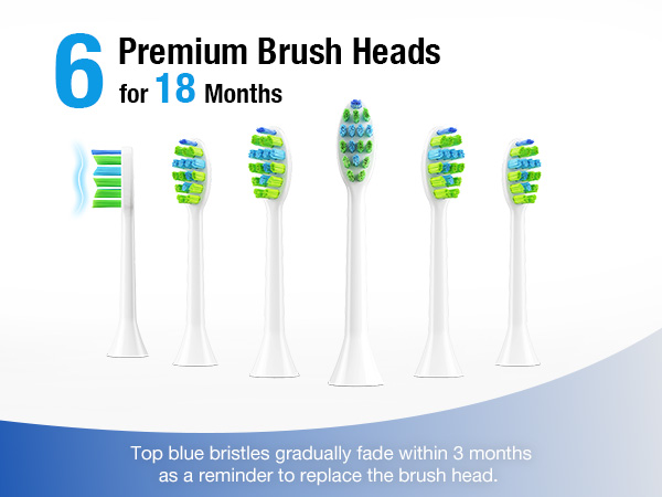 electric toothbrush