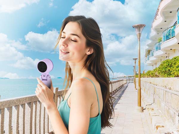 Handheld Fan