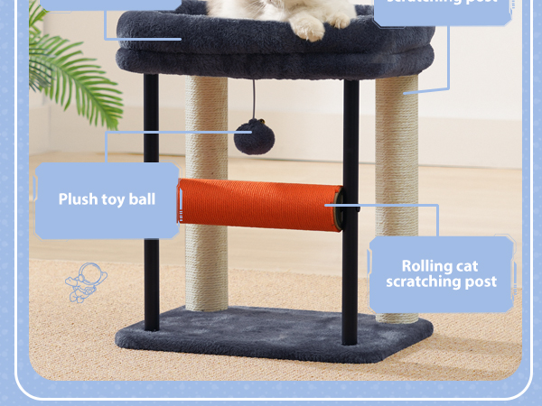 cat scratching posts