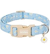 Astdogio Dog Collar for Small Medium Large Dogs, Spring Blue Dog Collars with White Flowers, Adju...