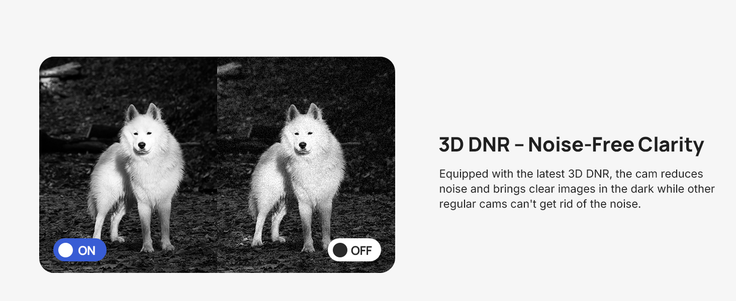 3D DNR-Noise-Free Clarity