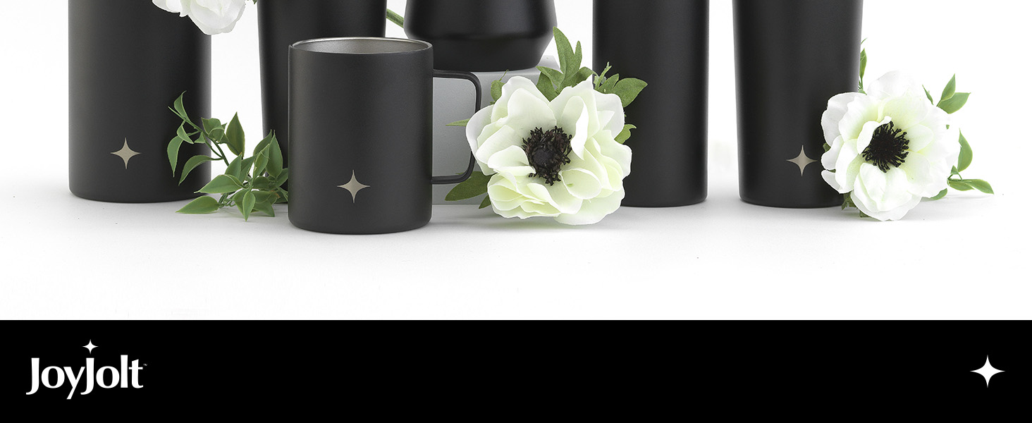 Joyjolt Stainless Steel Water Bottle