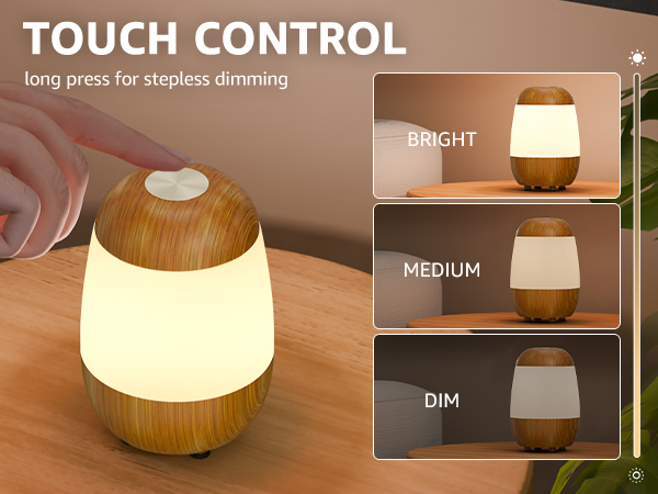 Night Light
