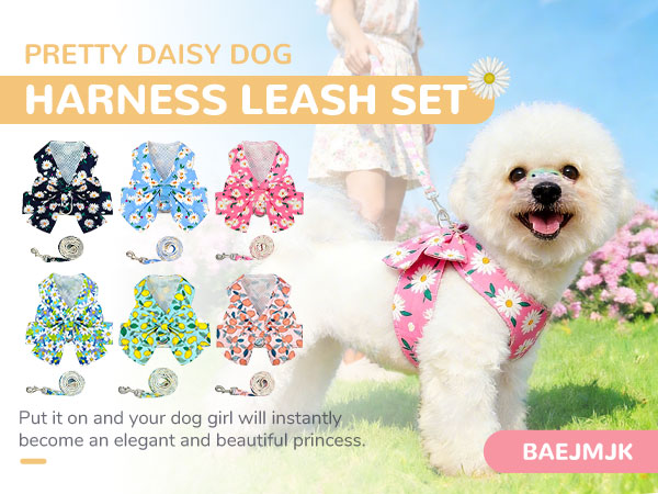 Dog Harness and Leash Set