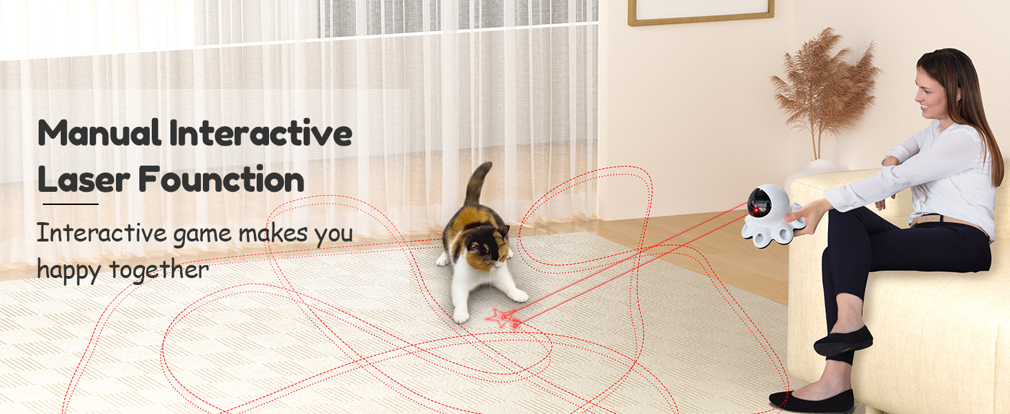 interactive cat toy