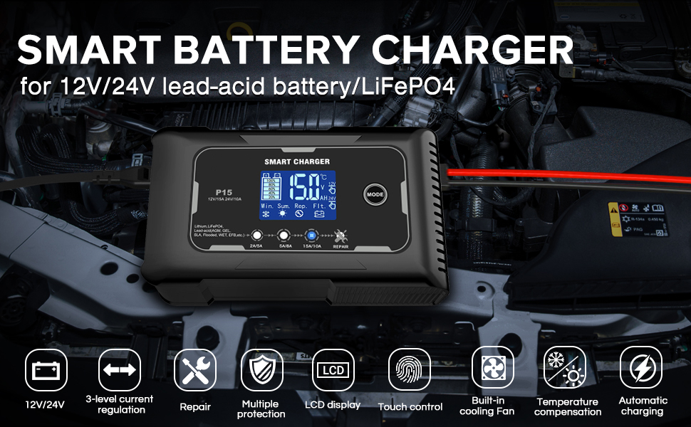 12V&24V Battery Charger