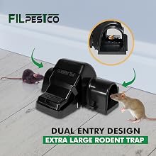 Dual entry