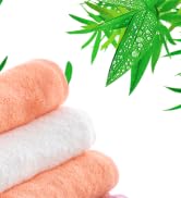 2-kitchen wash cloths