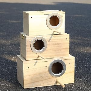 Parakeet Breeding Box