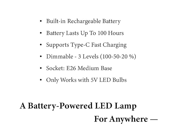 LED Desk Lamp