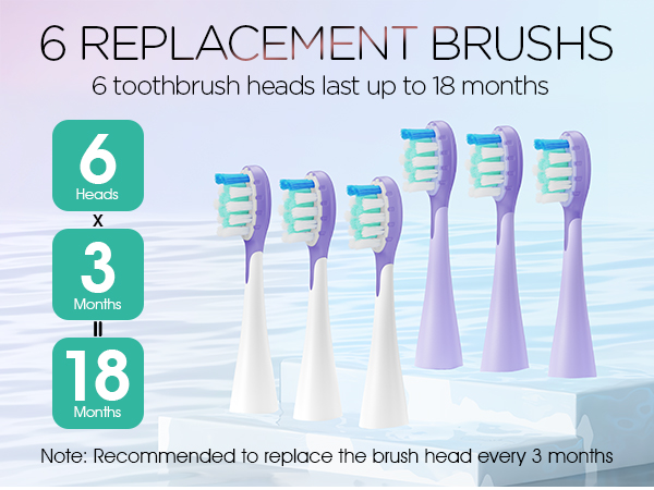 6 Replacement Brush