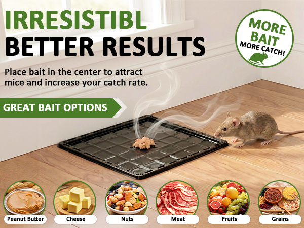 rat trap
