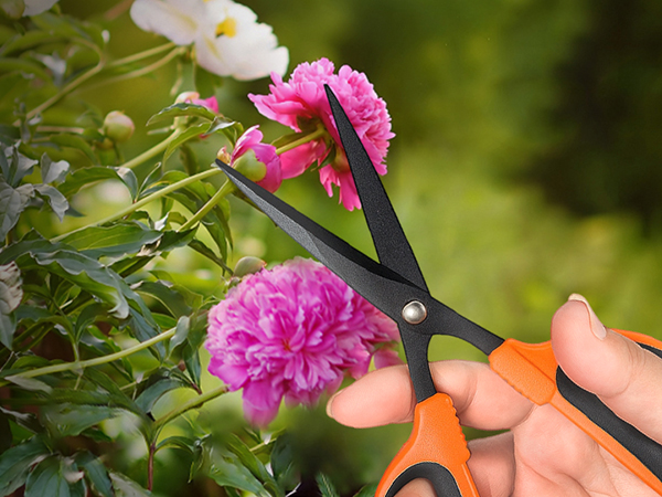 garden scissors