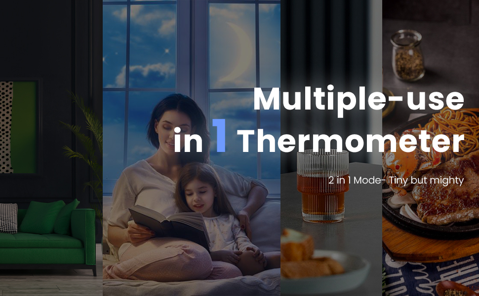 viproud thermometer
