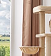 cat trees for large cat