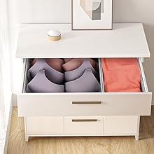 bra organizer for drawer
