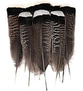 MehelloFeather Pheasant Feathers 12 PCS Turkey Feathers Tail 10-12 Inch for DIY Crafts Hat Floral...