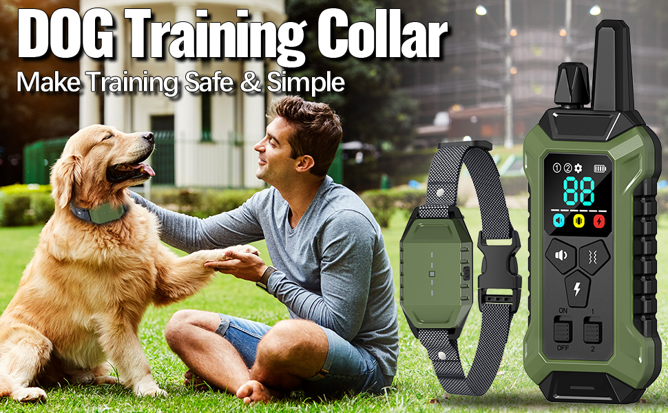 shock collar for dog