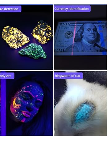 uv flashlights