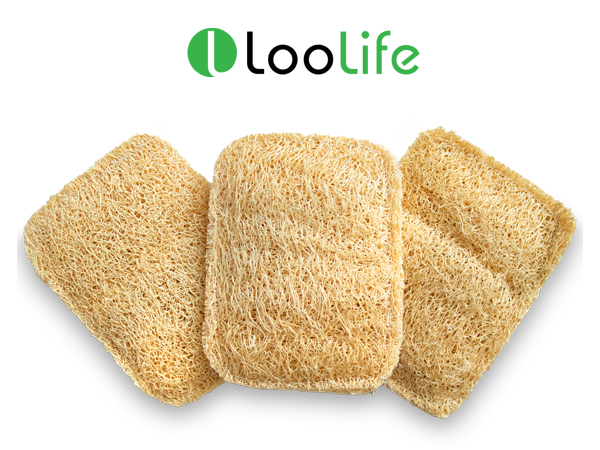 natural sponges for dishes