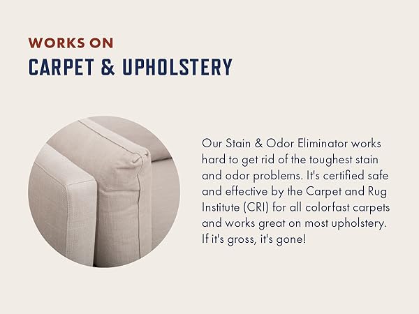 carpet upholstery cleaner