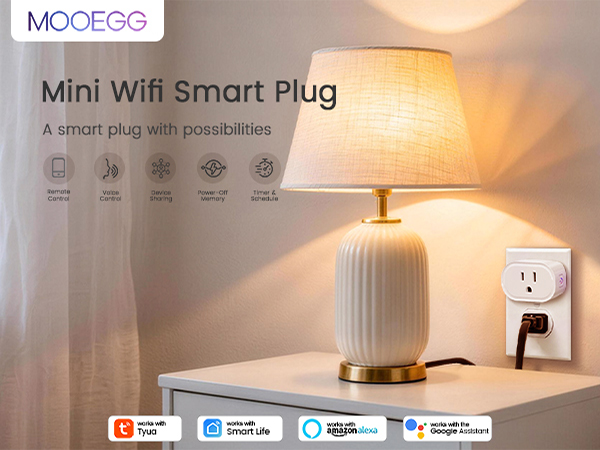 smart plug