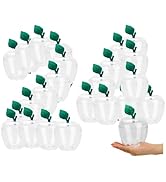 HANZE 24 Pack Large Plastic Clear Apple Containers - Ideal for Teachers Appreciation, Gifts, and ...