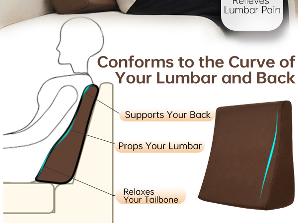 Conforms to the Curve of Your Lumbar and Back