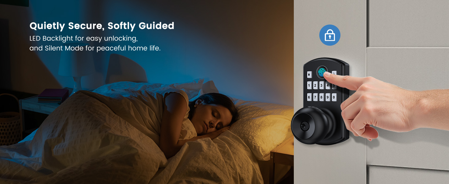 Keyless entry door lock