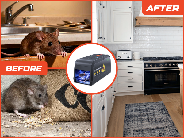Electric Mouse Trap
