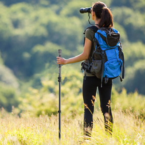 Trekking Poles