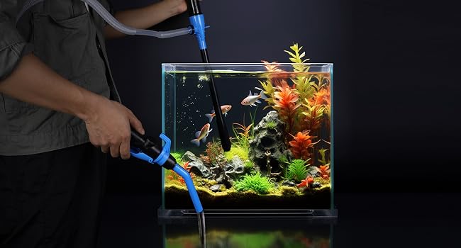FLUID TRANSFER PUMP