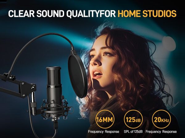 condenser microphone