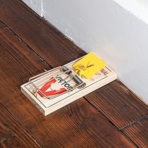 Victor easy set rat trap has an expanded trigger plate