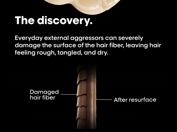 the discovery
